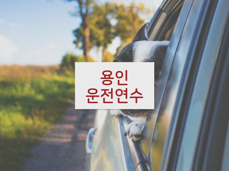 용인운전연수 후기