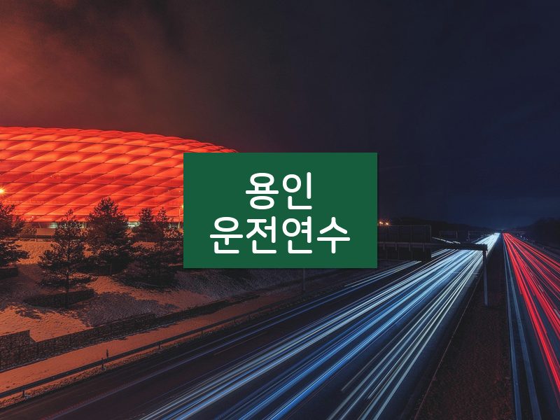 용인운전연수 후기