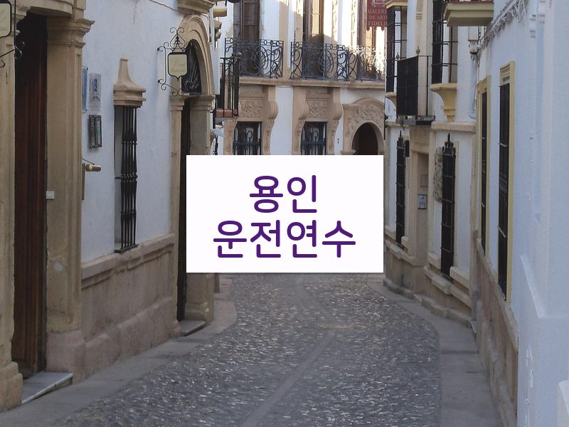 용인운전연수 후기