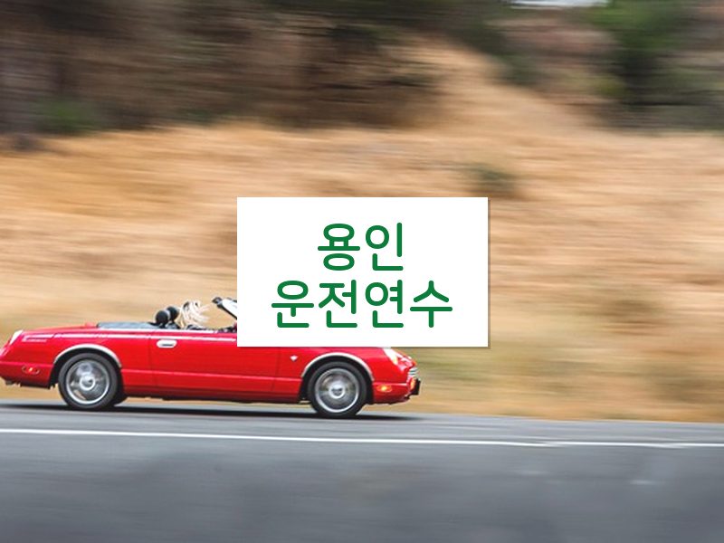 용인운전연수 후기