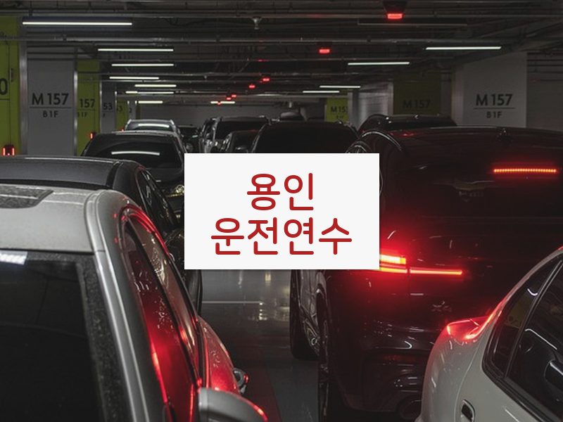 용인운전연수 후기