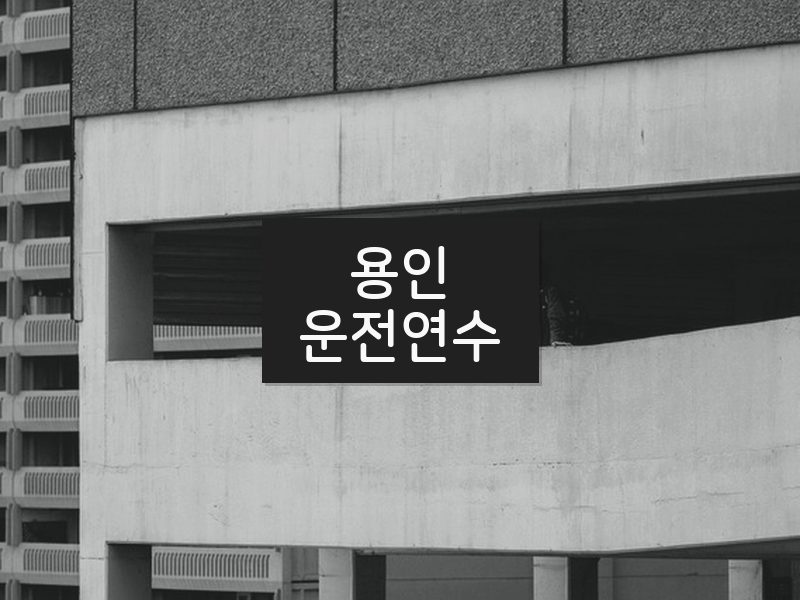 용인운전연수 후기