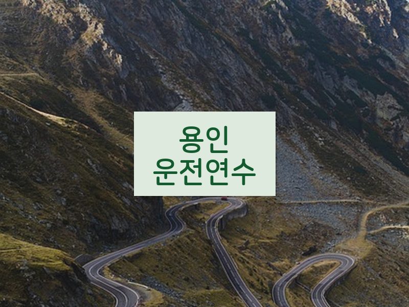 용인운전연수 후기