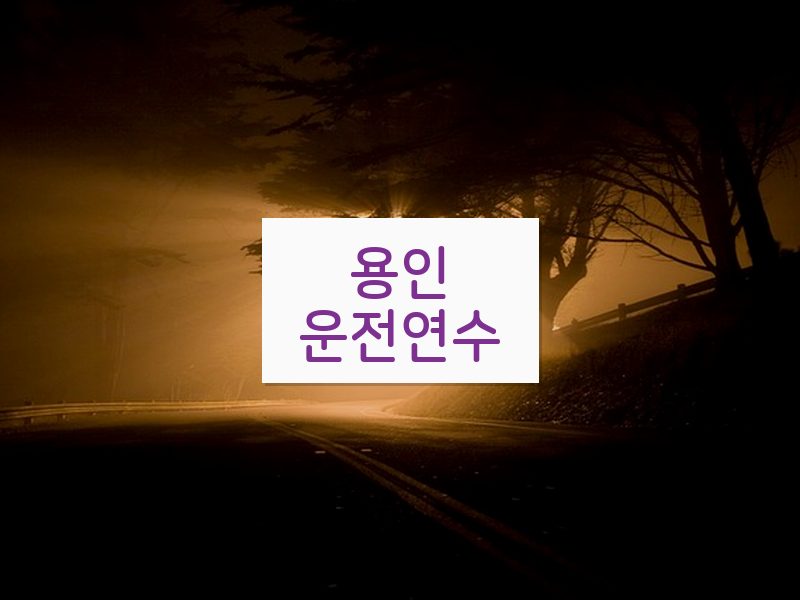 용인운전연수 후기