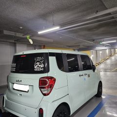 장롱면허 엄마의 운전 도전기