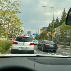 용인에서 운전 연습, 진짜 두려워요