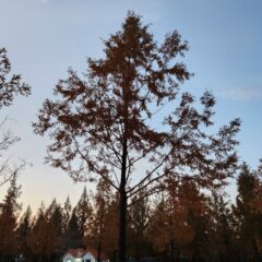 도로 합류 연습 후기 후기 이미지