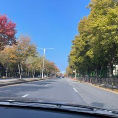 동네 길 연습 정말 도움돼요 후기 이미지