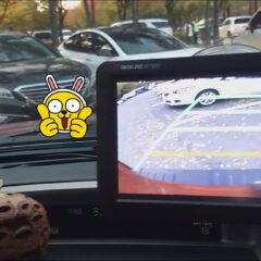 야간 운전에 빛나는 운전연수