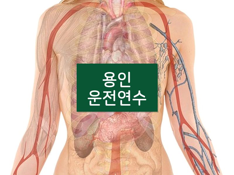 용인운전연수 후기
