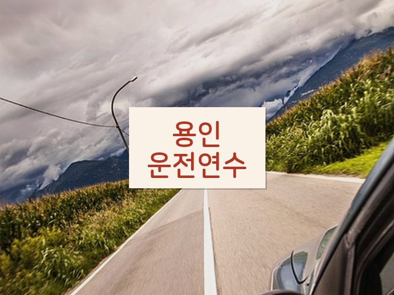 용인운전연수 후기