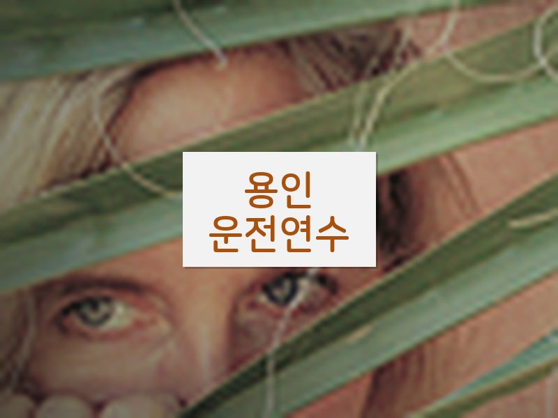 용인운전연수 후기