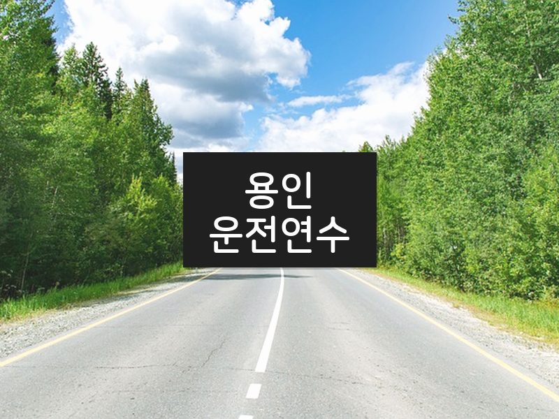 용인운전연수 후기