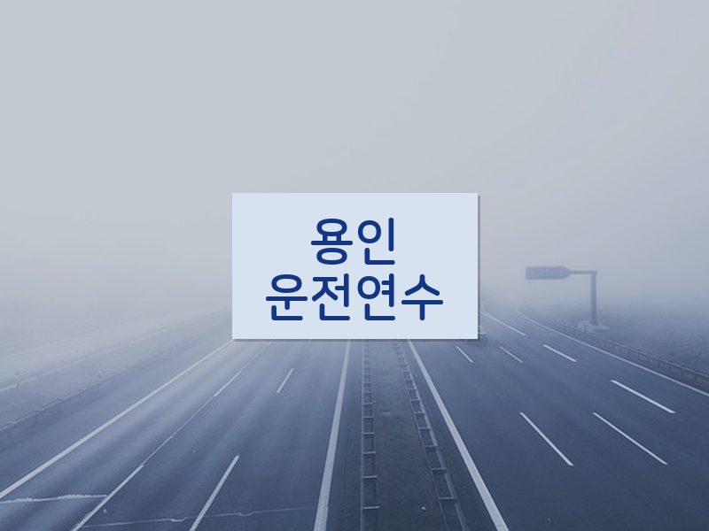 용인운전연수 후기